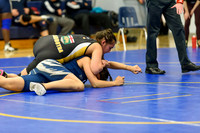 Wrestling DHS 011516-3-2294