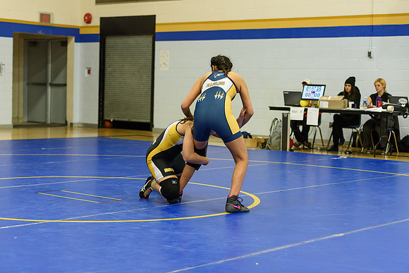 Wrestling DHS 011516-3-5721