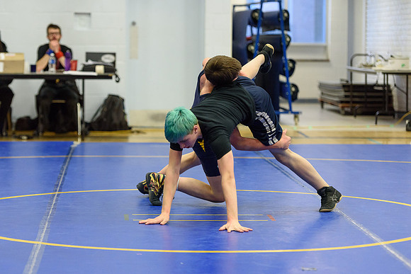 Wrestling DHS 011516-3-5374