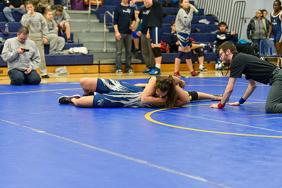 Wrestling DHS 011516-3-2313
