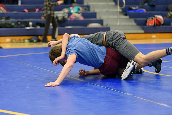 Wrestling DHS 011516-3-2986