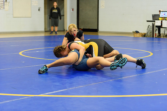Wrestling DHS 011516-3-5746