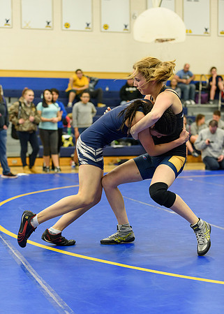 Wrestling DHS 011516-3-4036