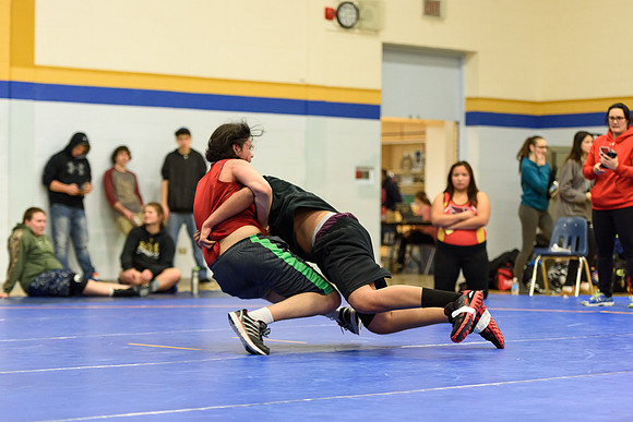 Wrestling DHS 011516-3-3762