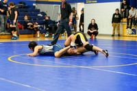 Wrestling DHS 011516-3-2307