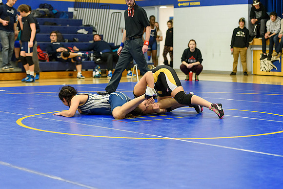 Wrestling DHS 011516-3-2307