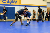 Wrestling DHS 011516-3-2528