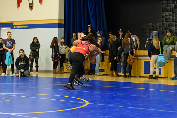 Wrestling DHS 011516-3-2723