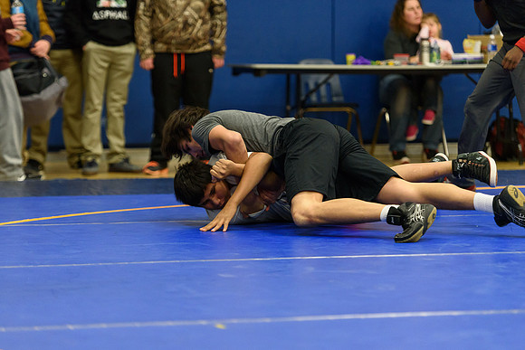 Wrestling DHS 011516-3-2898