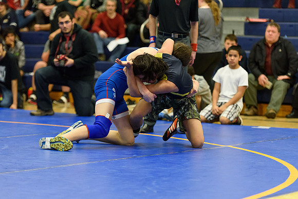 Wrestling DHS 011516-3-4204