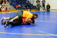 Wrestling DHS 011516-3-2715