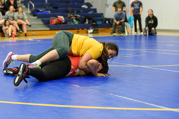 Wrestling DHS 011516-3-2715