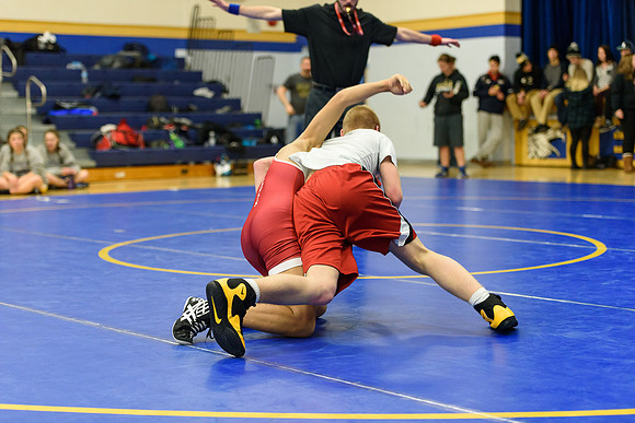 Wrestling DHS 011516-3-2672