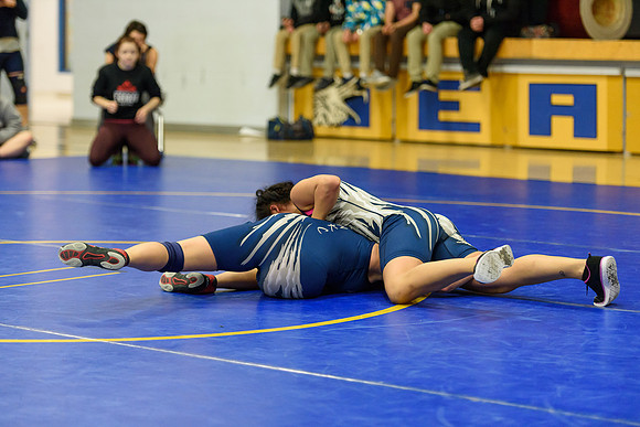 Wrestling DHS 011516-3-4275