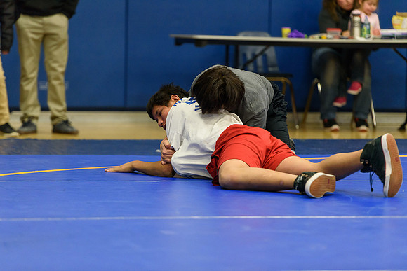 Wrestling DHS 011516-3-2900