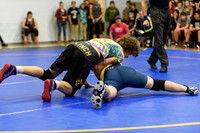 Wrestling DHS 011516-3-2132