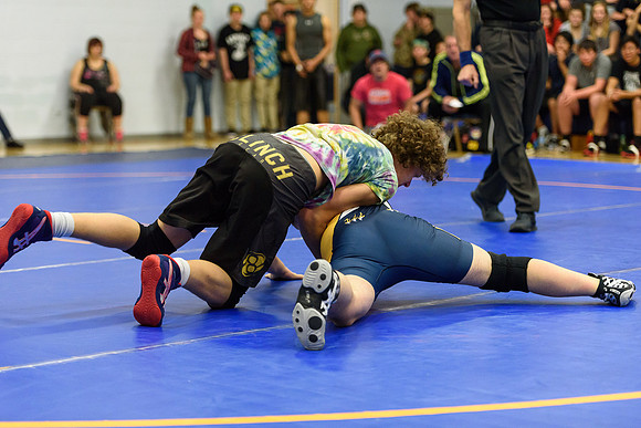 Wrestling DHS 011516-3-2132