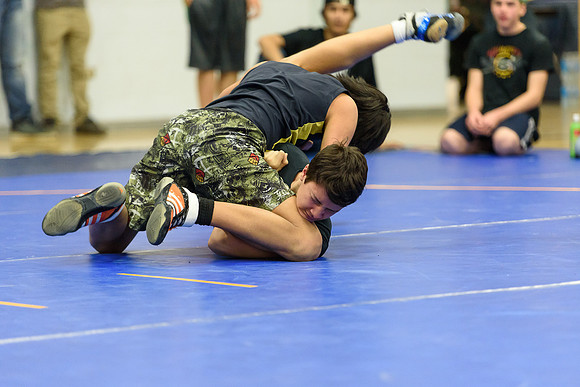 Wrestling DHS 011516-3-3415