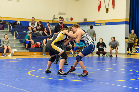 Wrestling DHS 011516-3-3329