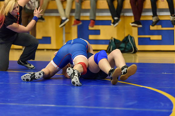 Wrestling DHS 011516-3-3056