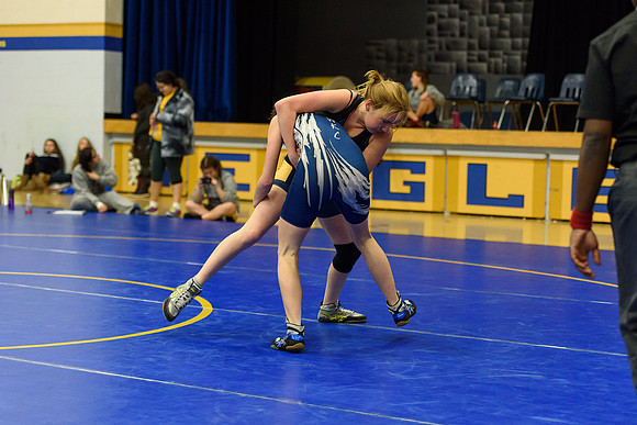 Wrestling DHS 011516-3-4965