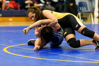 Wrestling DHS 011516-3-2299