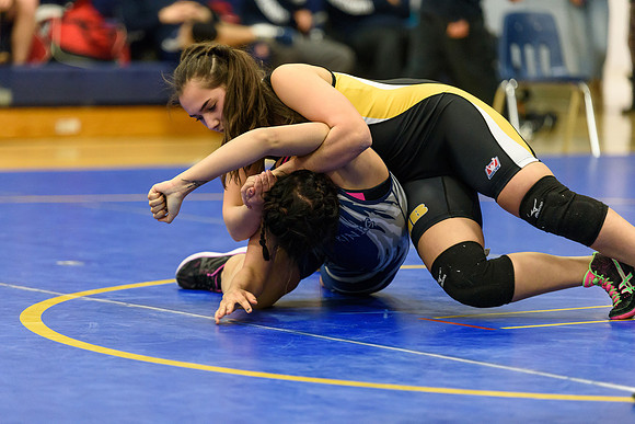 Wrestling DHS 011516-3-2299