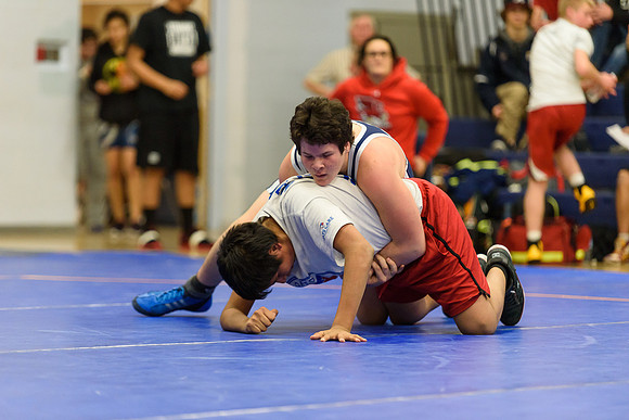 Wrestling DHS 011516-3-3672