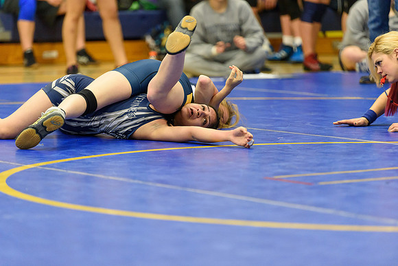 Wrestling DHS 011516-3-4135
