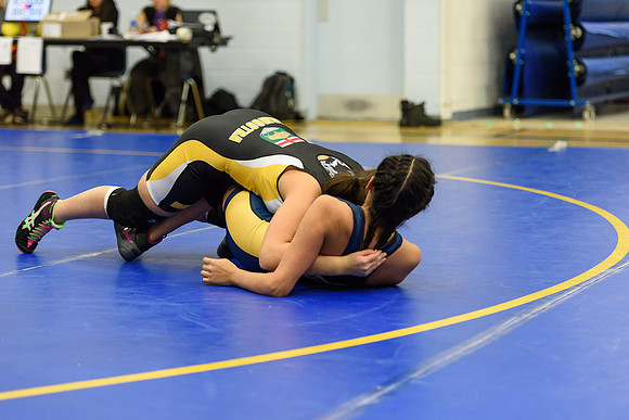 Wrestling DHS 011516-3-5728
