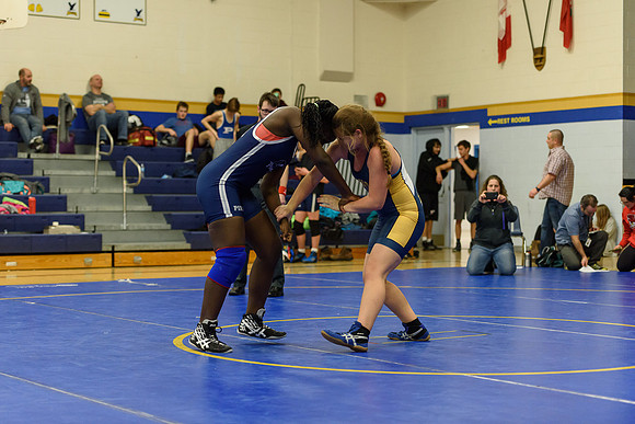 Wrestling DHS 011516-3-5199