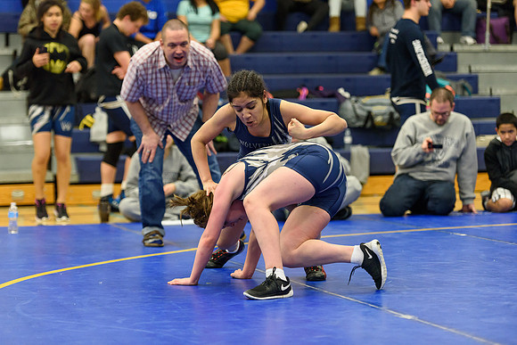 Wrestling DHS 011516-3-3302