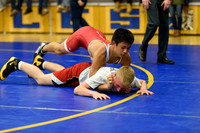Wrestling DHS 011516-3-2602