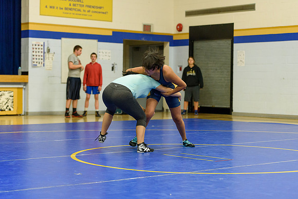 Wrestling DHS 011516-3-5087