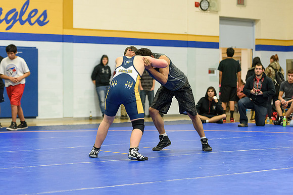 Wrestling DHS 011516-3-3536