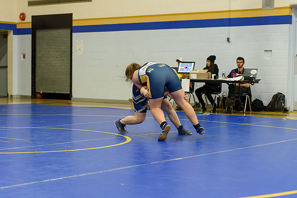 Wrestling DHS 011516-3-5840