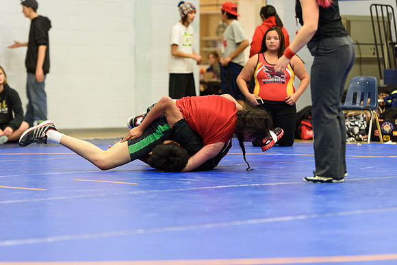 Wrestling DHS 011516-3-3727