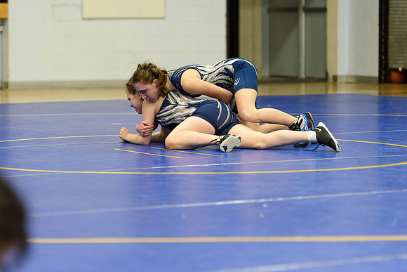 Wrestling DHS 011516-3-5692