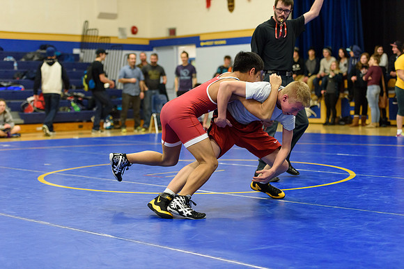 Wrestling DHS 011516-3-2598
