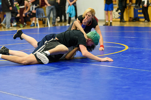 Wrestling DHS 011516-3-2866