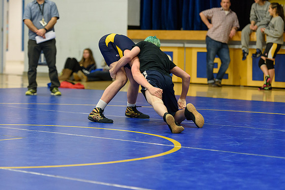 Wrestling DHS 011516-3-5288