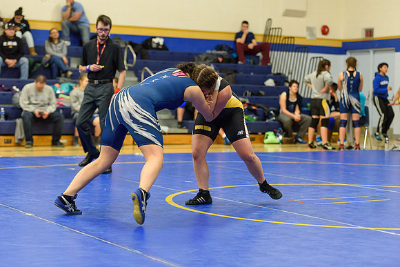 Wrestling DHS 011516-3-3472