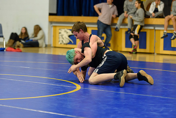 Wrestling DHS 011516-3-5298