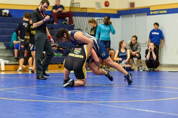 Wrestling DHS 011516-3-3487