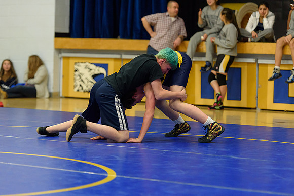 Wrestling DHS 011516-3-5290