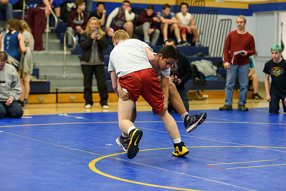 Wrestling DHS 011516-3-4524