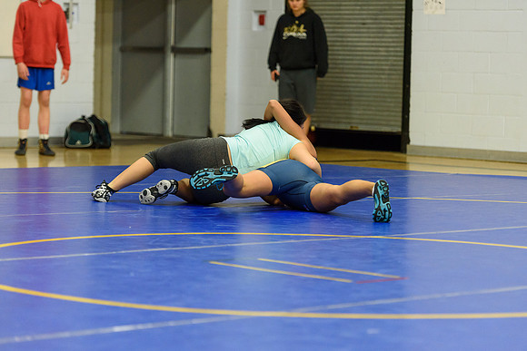 Wrestling DHS 011516-3-5092