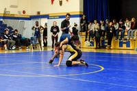 Wrestling DHS 011516-3-2286