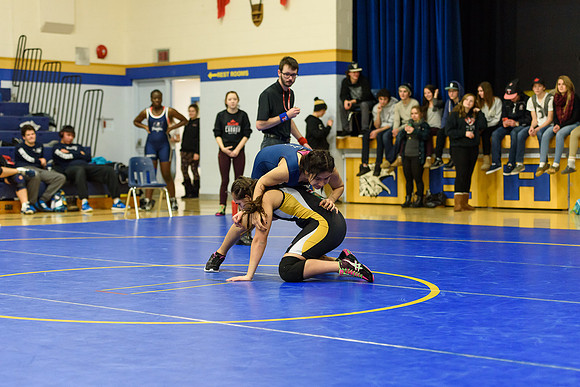 Wrestling DHS 011516-3-2286