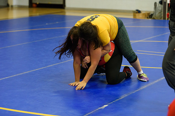 Wrestling DHS 011516-3-5958
